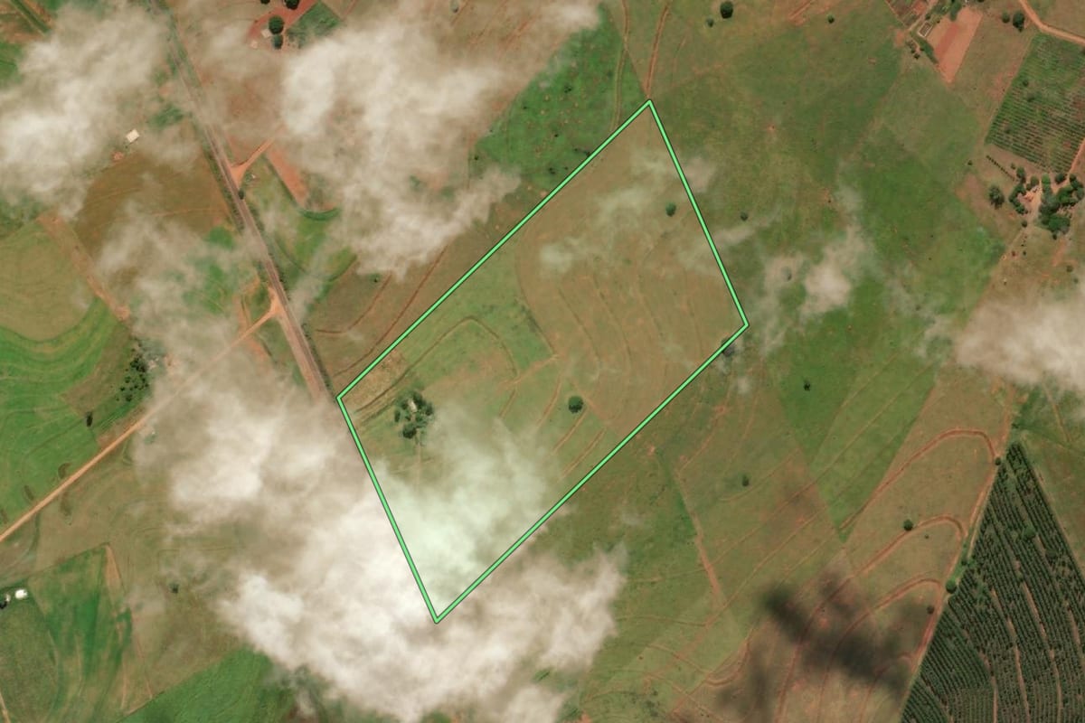 Imagem de satélite do imóvel rural em Caiuá (SP), com o contorno declarado no CAR desenhado por cima.