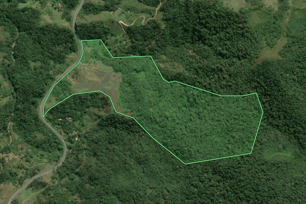 Imagem de satélite do imóvel rural em Cajati (SP), com o contorno declarado no CAR desenhado por cima.