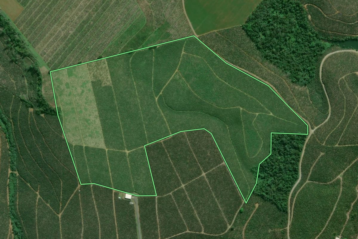 Imagem de satélite do imóvel rural em Cajati (SP), com o contorno declarado no CAR desenhado por cima.