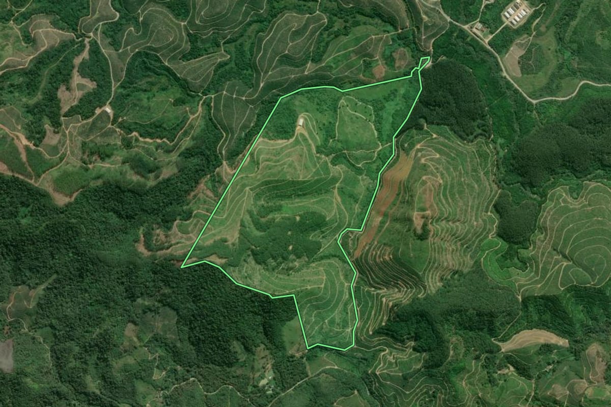 Imagem de satélite do imóvel rural em Cajati (SP), com o contorno declarado no CAR desenhado por cima.