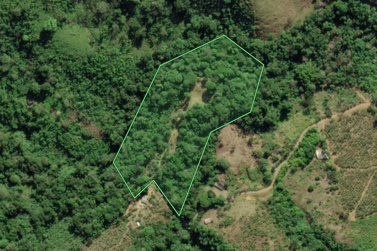 Imagem de satélite do imóvel rural em Cajati (SP), com o contorno declarado no CAR desenhado por cima.