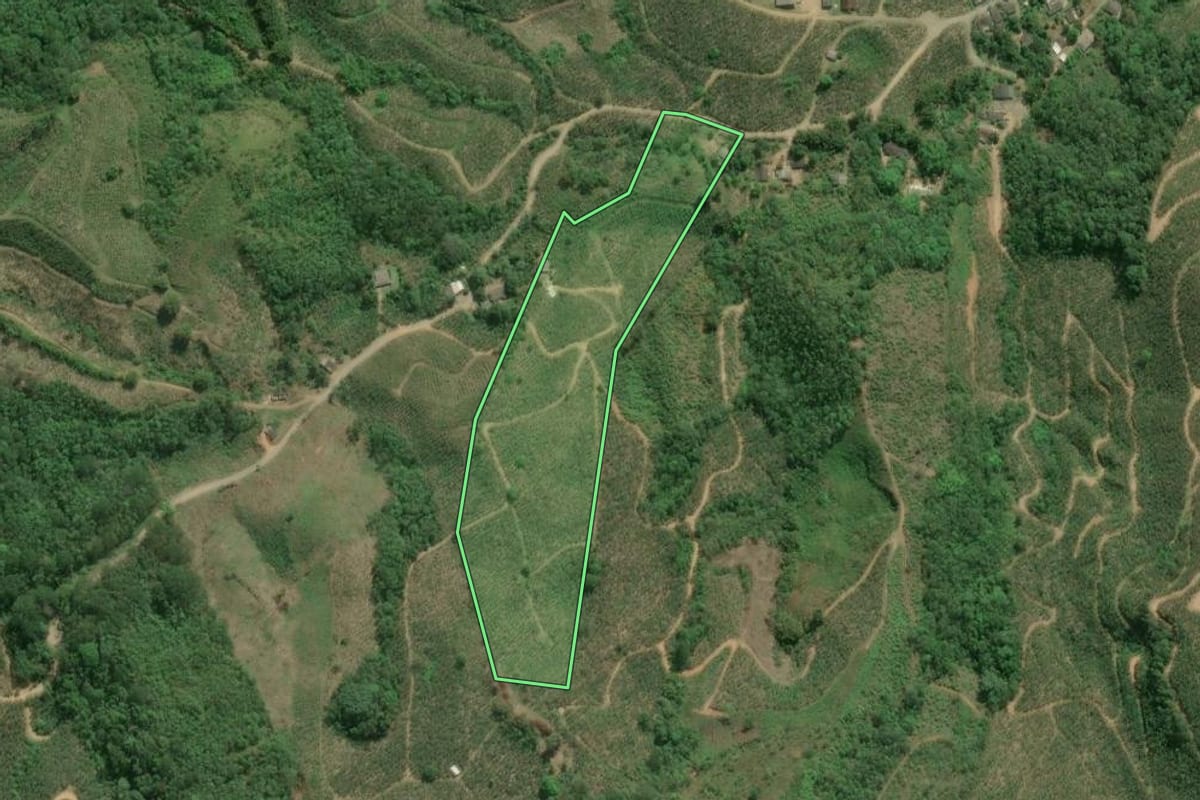Imagem de satélite do imóvel rural em Cajati (SP), com o contorno declarado no CAR desenhado por cima.