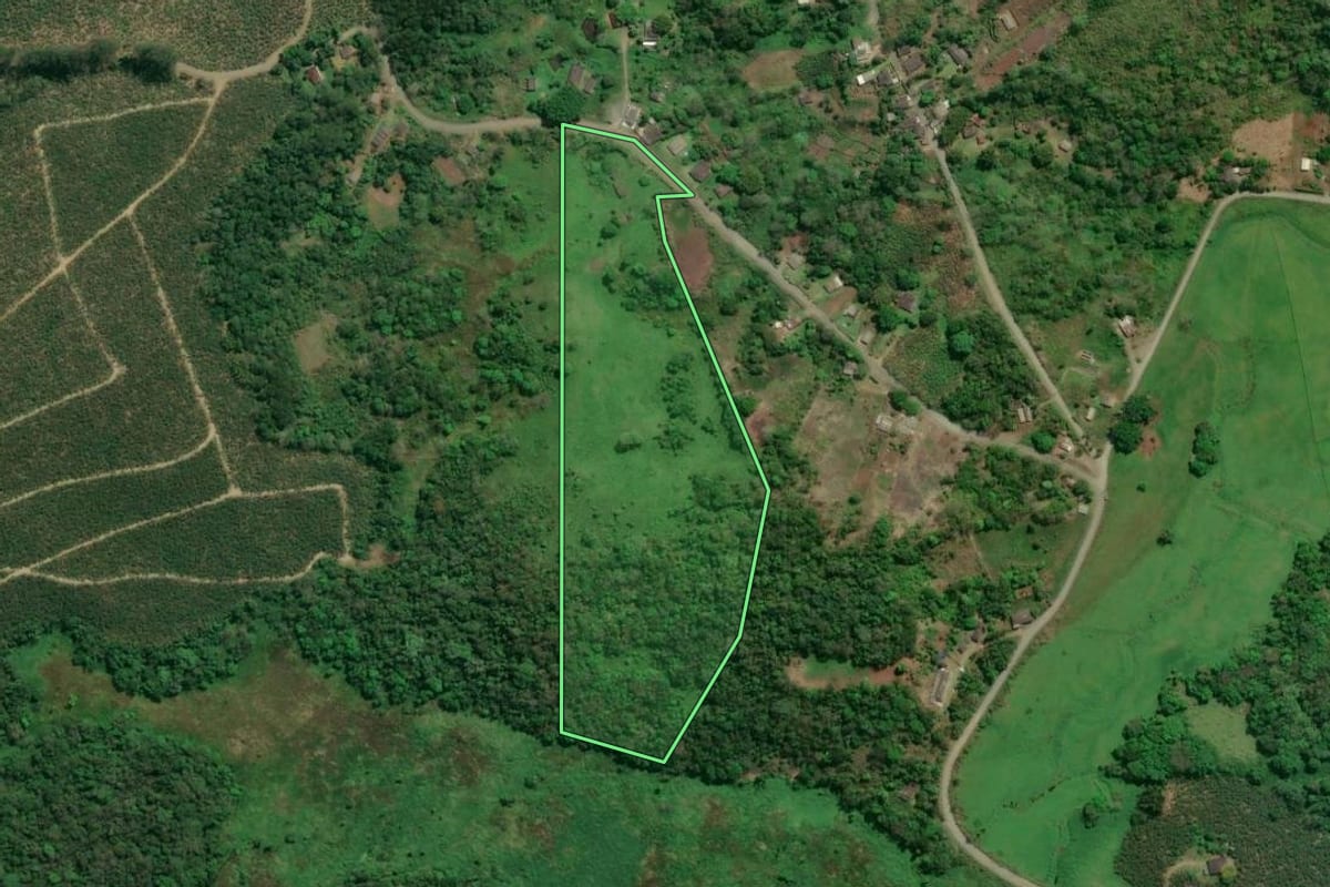 Imagem de satélite do imóvel rural em Cajati (SP), com o contorno declarado no CAR desenhado por cima.