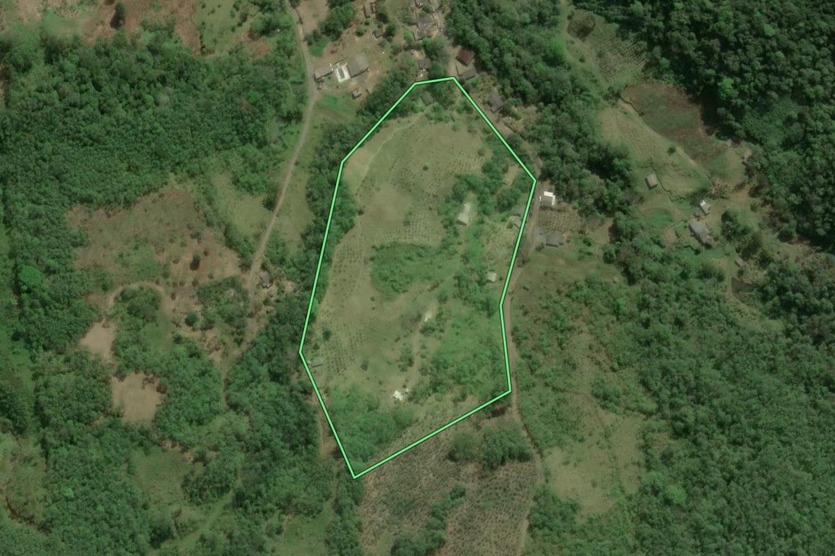 Imagem de satélite do imóvel rural em Cajati (SP), com o contorno declarado no CAR desenhado por cima.