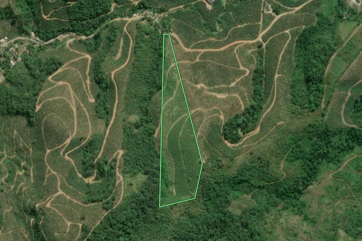Imagem de satélite do imóvel rural em Cajati (SP), com o contorno declarado no CAR desenhado por cima.