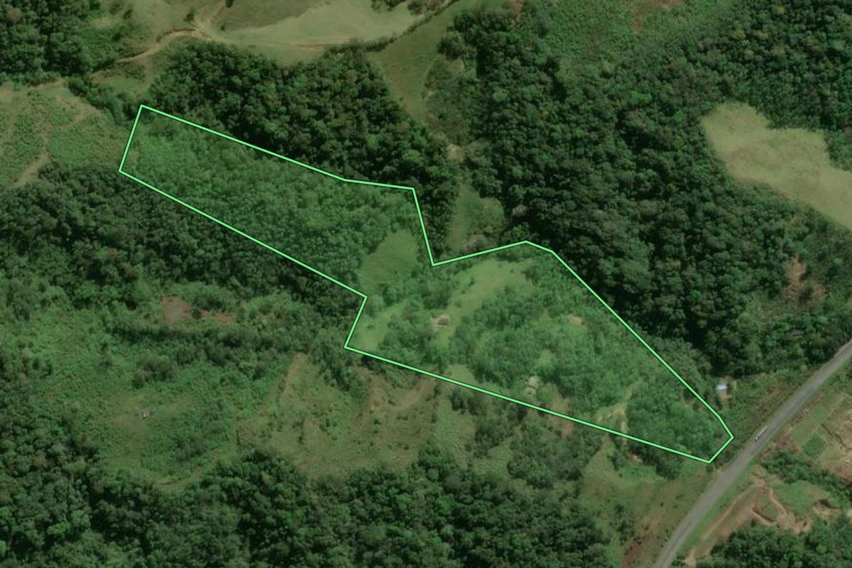 Imagem de satélite do imóvel rural em Cajati (SP), com o contorno declarado no CAR desenhado por cima.