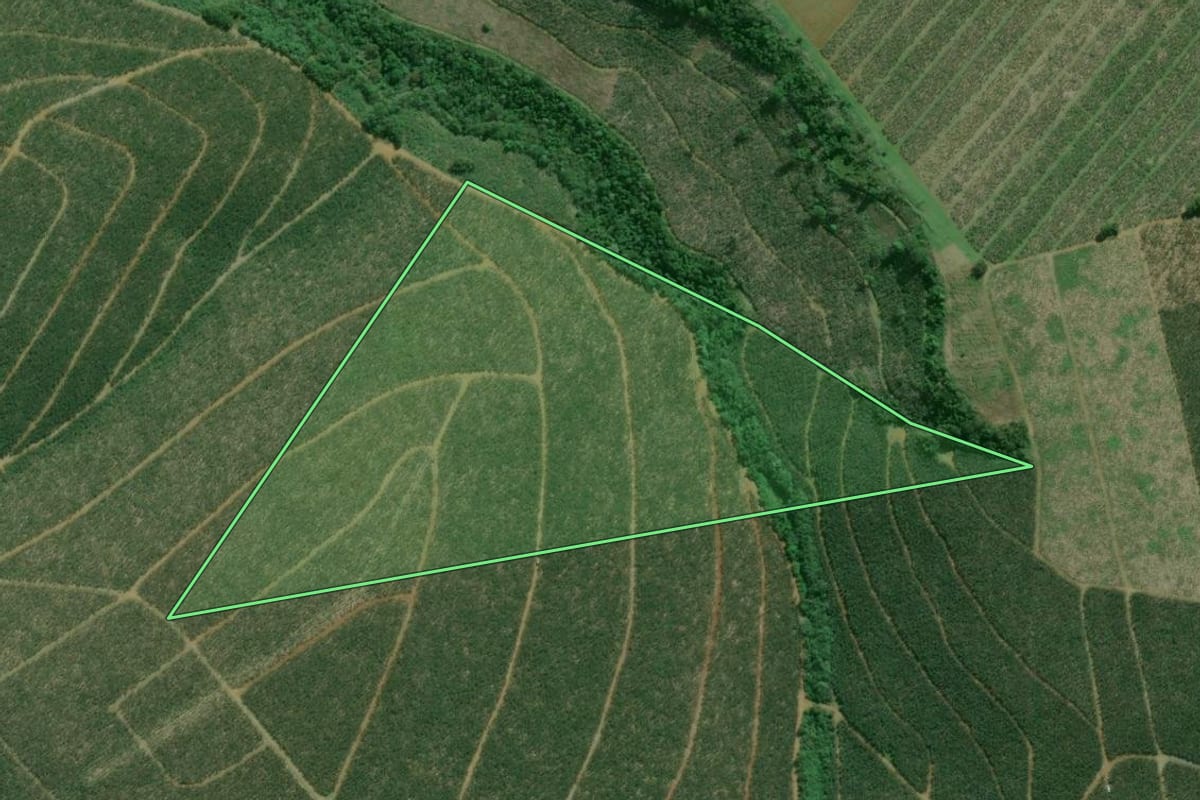 Imagem de satélite do imóvel rural em Cajati (SP), com o contorno declarado no CAR desenhado por cima.