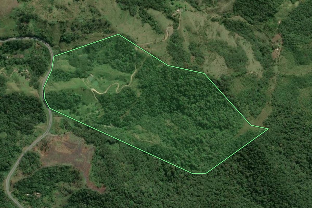 Imagem de satélite do imóvel rural em Cajati (SP), com o contorno declarado no CAR desenhado por cima.