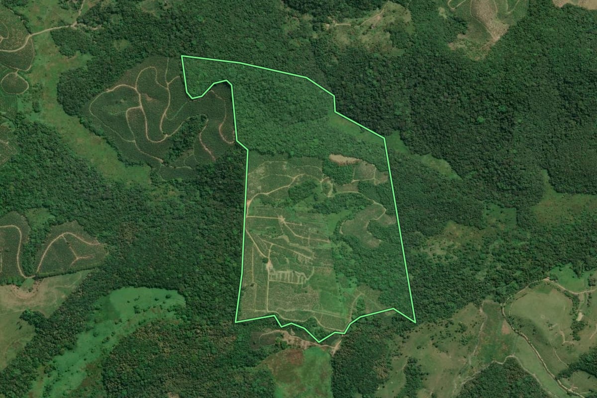 Imagem de satélite do imóvel rural em Cajati (SP), com o contorno declarado no CAR desenhado por cima.