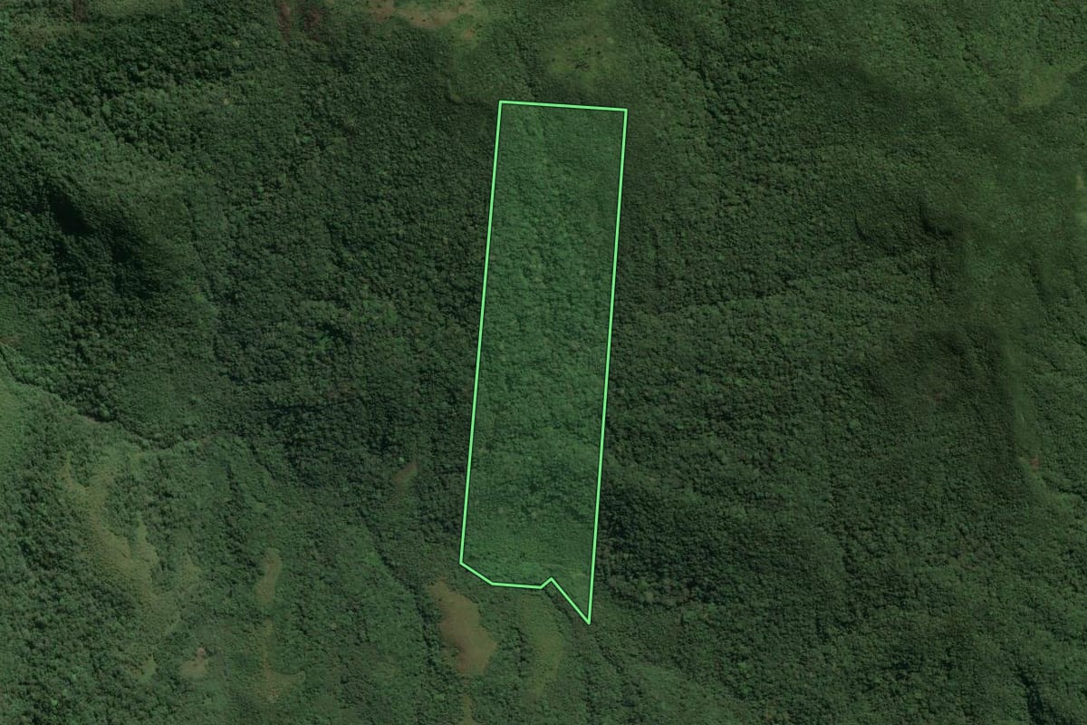 Imagem de satélite do imóvel rural em Cajati (SP), com o contorno declarado no CAR desenhado por cima.