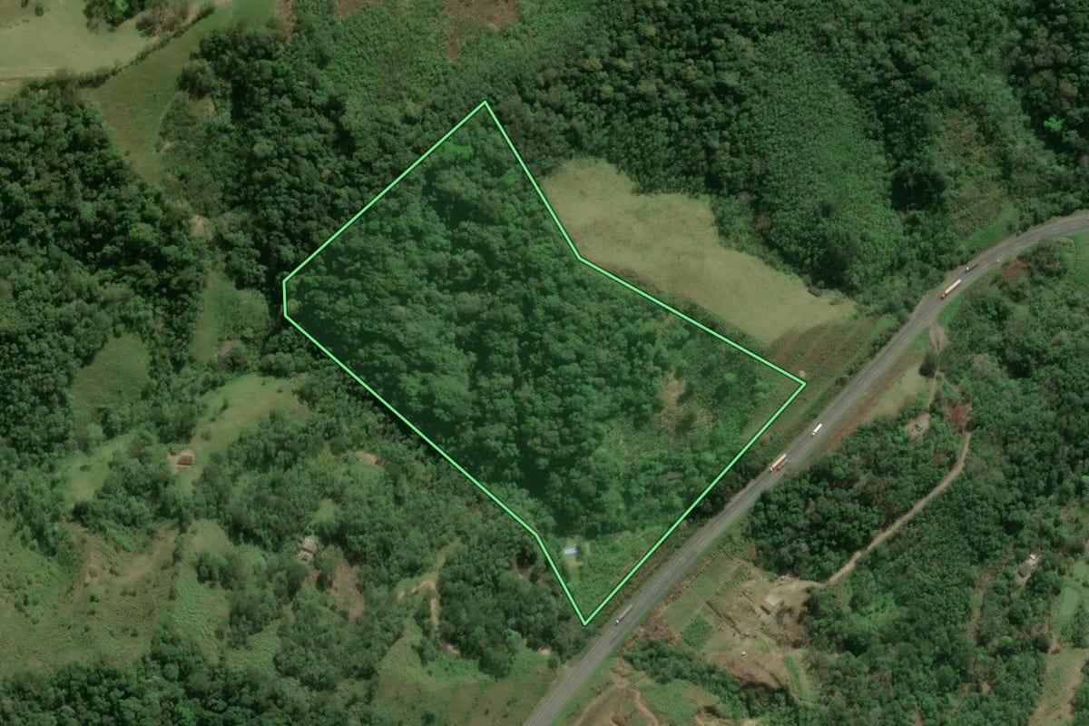 Imagem de satélite do imóvel rural em Cajati (SP), com o contorno declarado no CAR desenhado por cima.