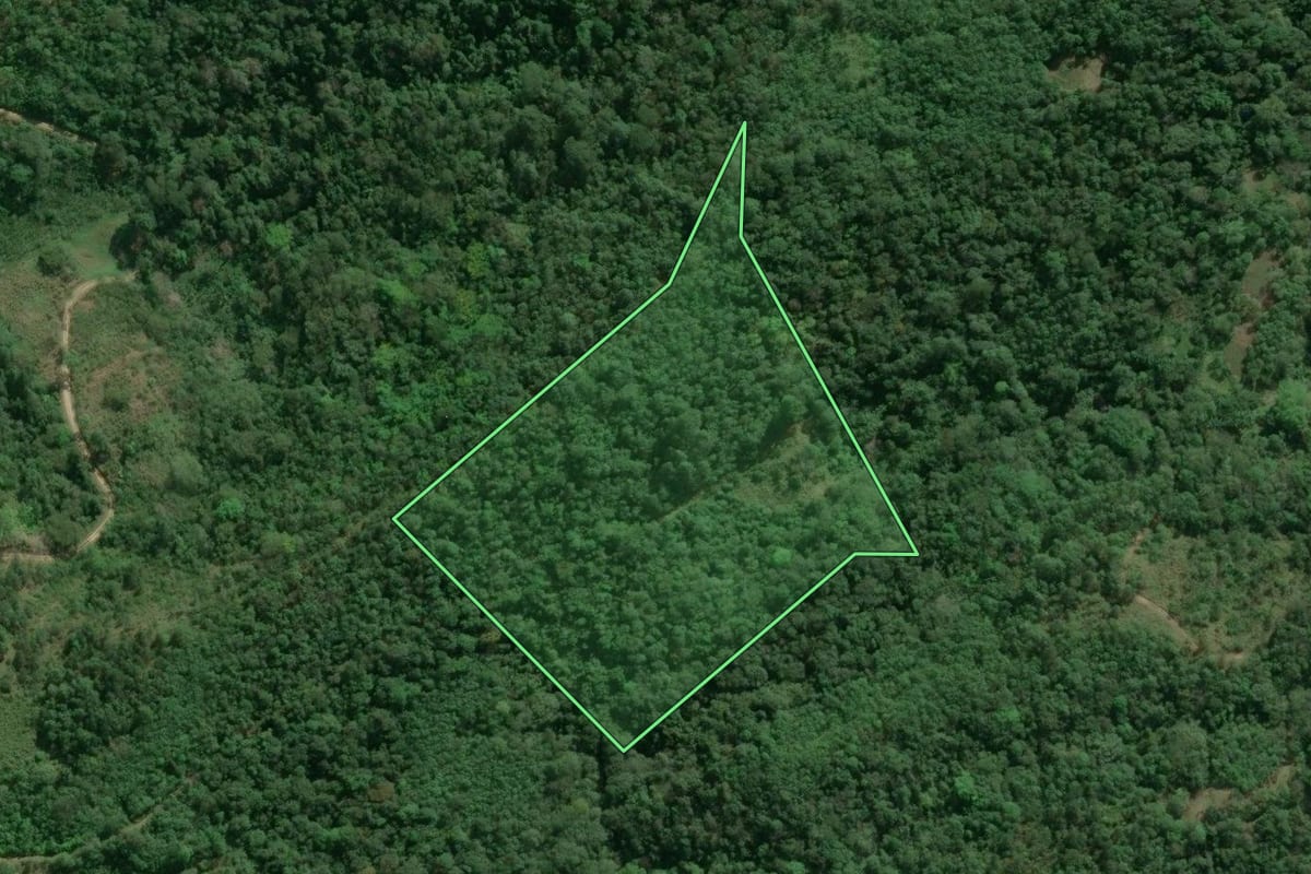 Imagem de satélite do imóvel rural em Cajati (SP), com o contorno declarado no CAR desenhado por cima.