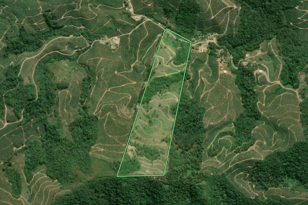 Imagem de satélite do imóvel rural em Cajati (SP), com o contorno declarado no CAR desenhado por cima.