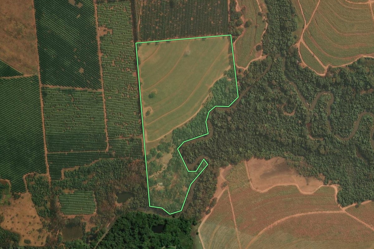Imagem de satélite do imóvel rural em Cajobi (SP), com o contorno declarado no CAR desenhado por cima.