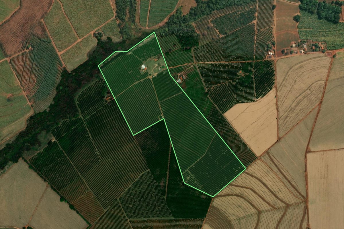 Imagem de satélite do imóvel rural em Cajobi (SP), com o contorno declarado no CAR desenhado por cima.