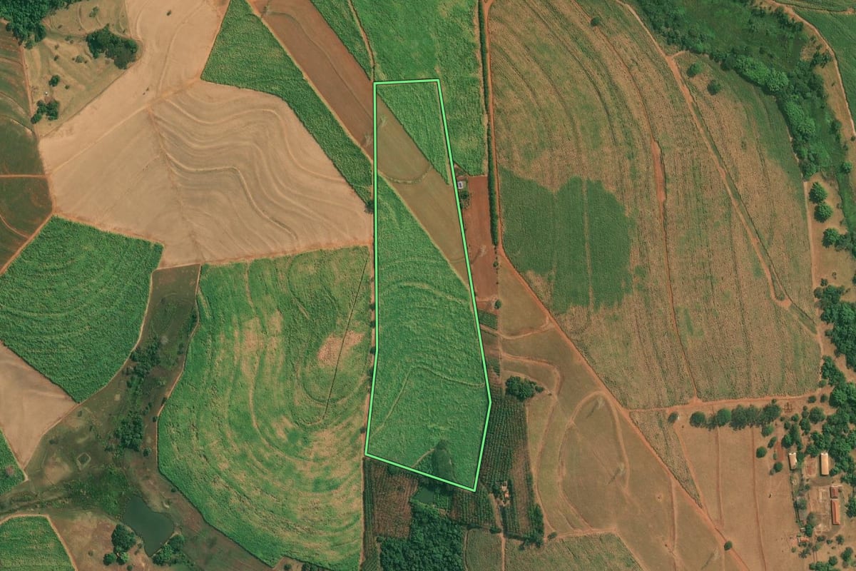 Imagem de satélite do imóvel rural em Cajobi (SP), com o contorno declarado no CAR desenhado por cima.