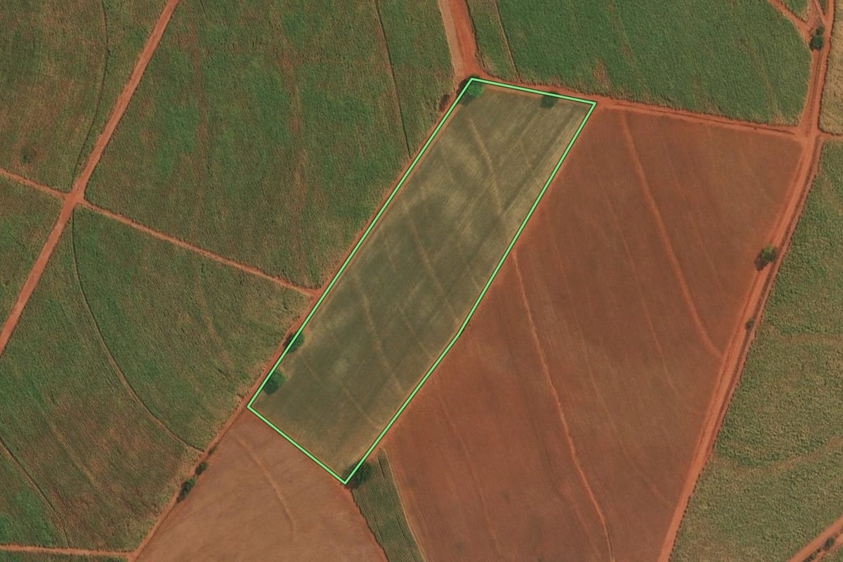 Imagem de satélite do imóvel rural em Cajobi (SP), com o contorno declarado no CAR desenhado por cima.