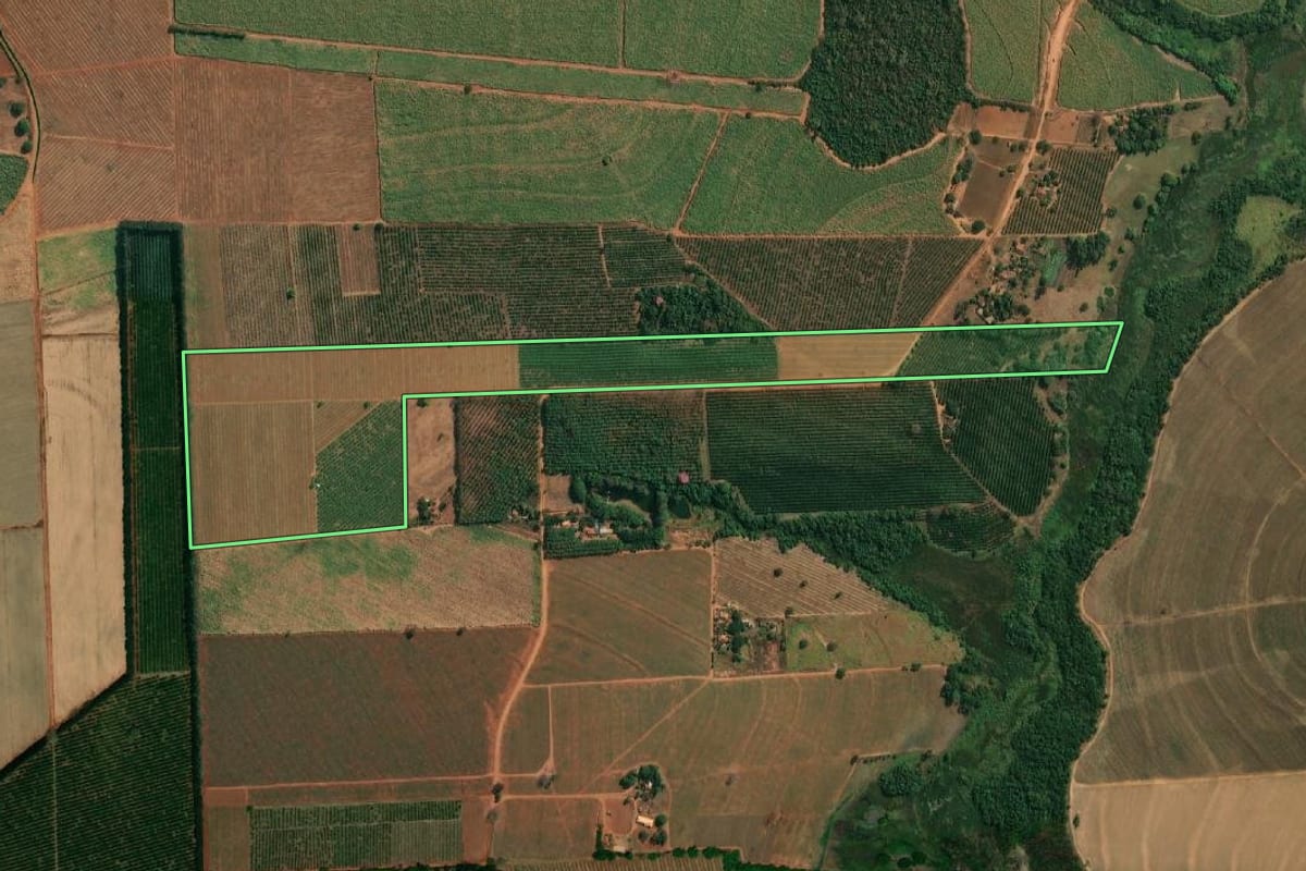 Imagem de satélite do imóvel rural em Cajobi (SP), com o contorno declarado no CAR desenhado por cima.