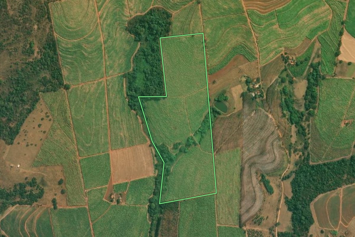 Imagem de satélite do imóvel rural em Cajobi (SP), com o contorno declarado no CAR desenhado por cima.