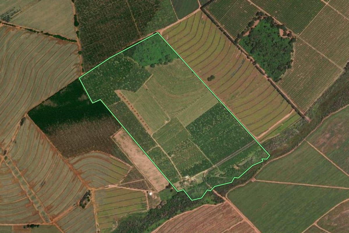 Imagem de satélite do imóvel rural em Cajobi (SP), com o contorno declarado no CAR desenhado por cima.