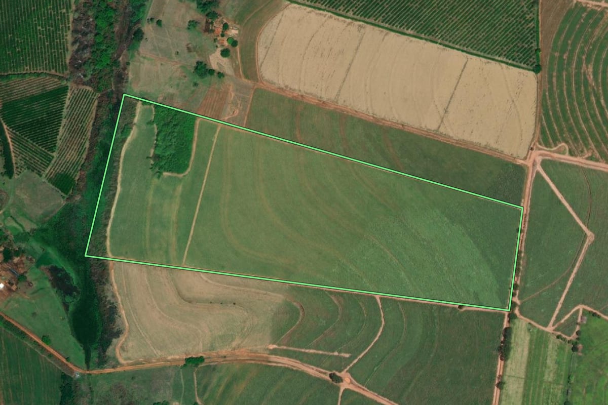 Imagem de satélite do imóvel rural em Cajobi (SP), com o contorno declarado no CAR desenhado por cima.