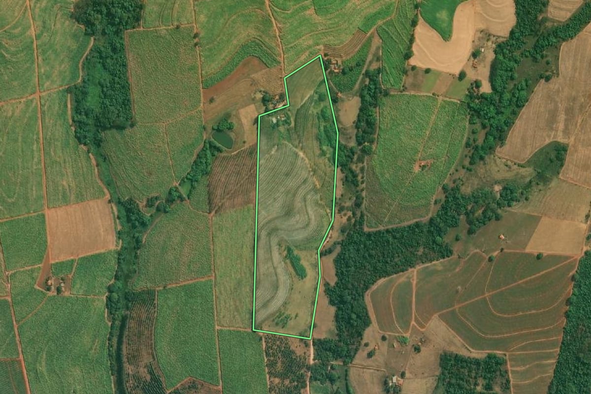 Imagem de satélite do imóvel rural em Cajobi (SP), com o contorno declarado no CAR desenhado por cima.
