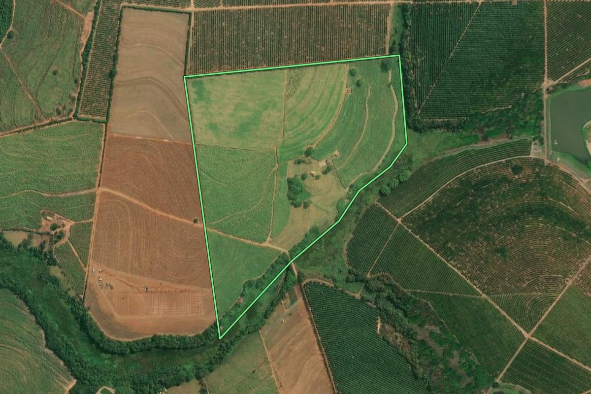 Imagem de satélite do imóvel rural em Cajobi (SP), com o contorno declarado no CAR desenhado por cima.