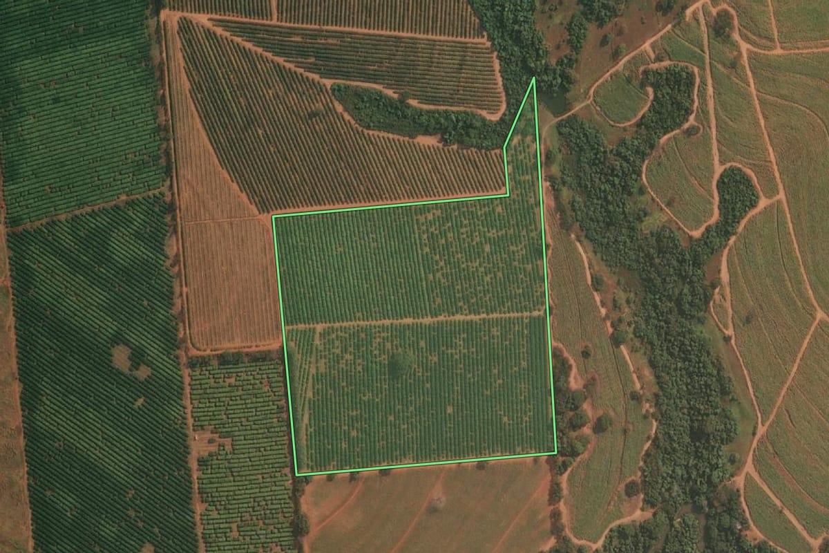 Imagem de satélite do imóvel rural em Cajobi (SP), com o contorno declarado no CAR desenhado por cima.