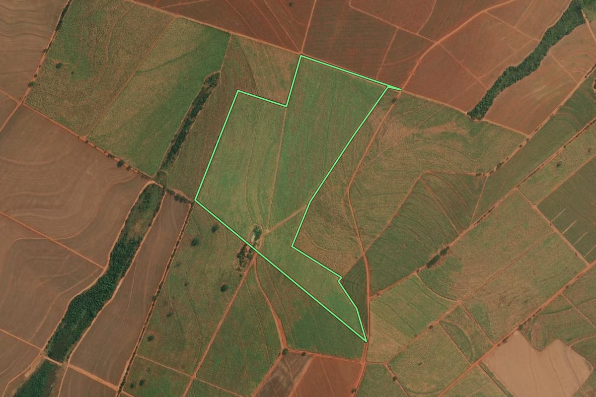 Imagem de satélite do imóvel rural em Cajobi (SP), com o contorno declarado no CAR desenhado por cima.
