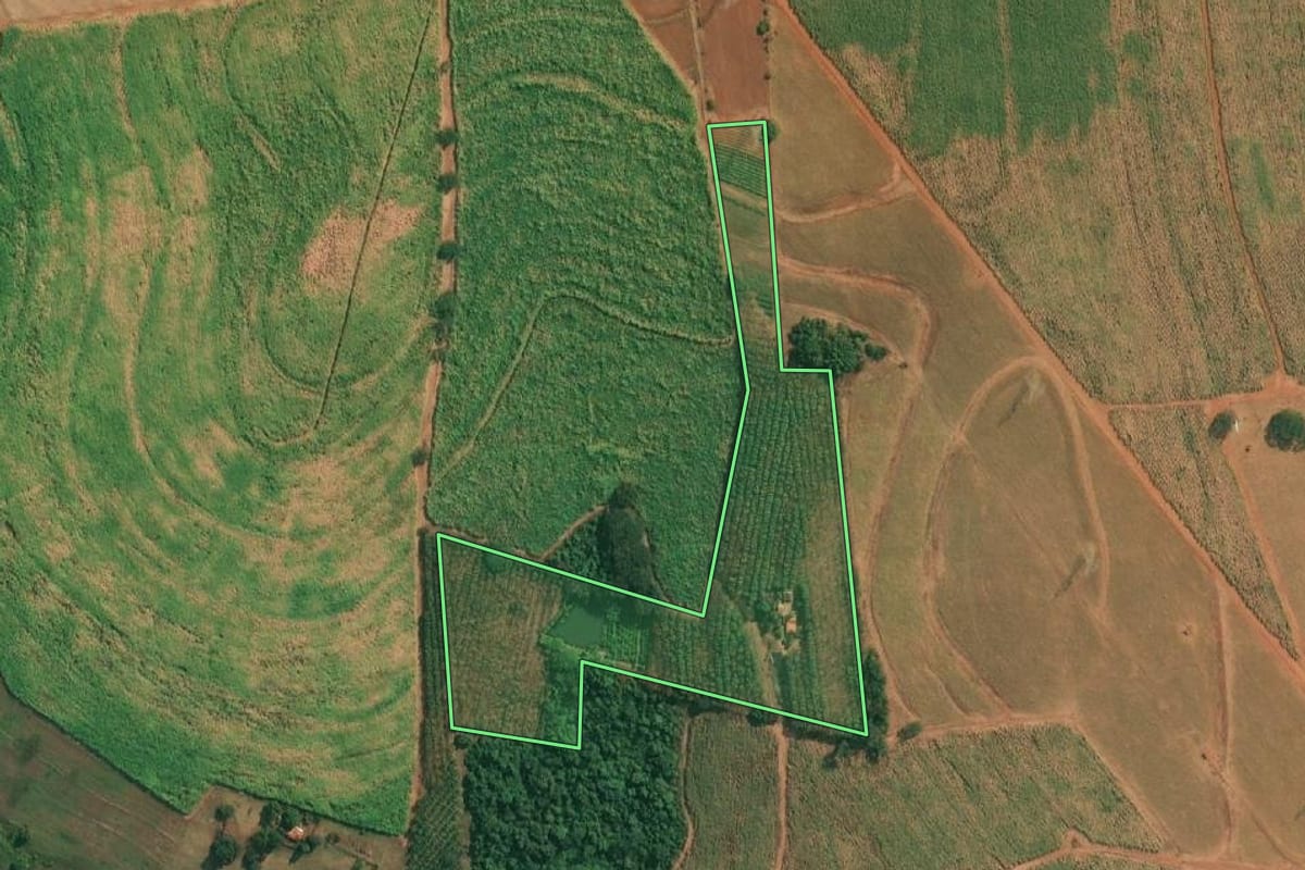 Imagem de satélite do imóvel rural em Cajobi (SP), com o contorno declarado no CAR desenhado por cima.