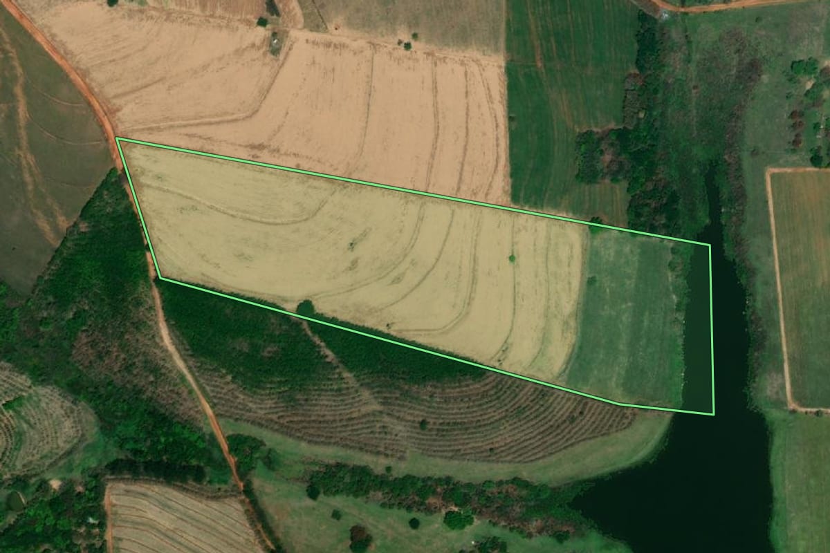Imagem de satélite do imóvel rural em Cajobi (SP), com o contorno declarado no CAR desenhado por cima.