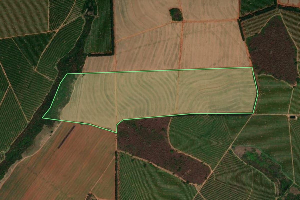 Imagem de satélite do imóvel rural em Cajobi (SP), com o contorno declarado no CAR desenhado por cima.
