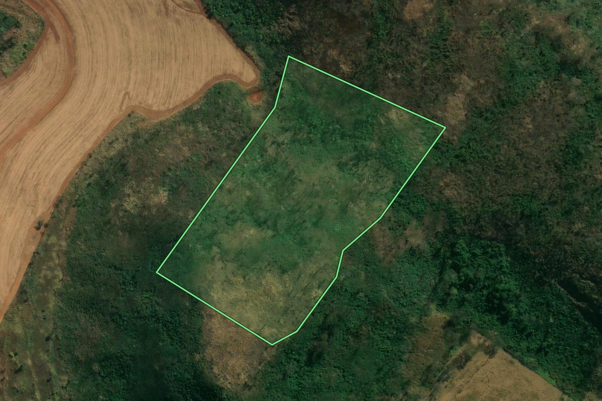 Imagem de satélite do imóvel rural em Cajuru (SP), com o contorno declarado no CAR desenhado por cima.
