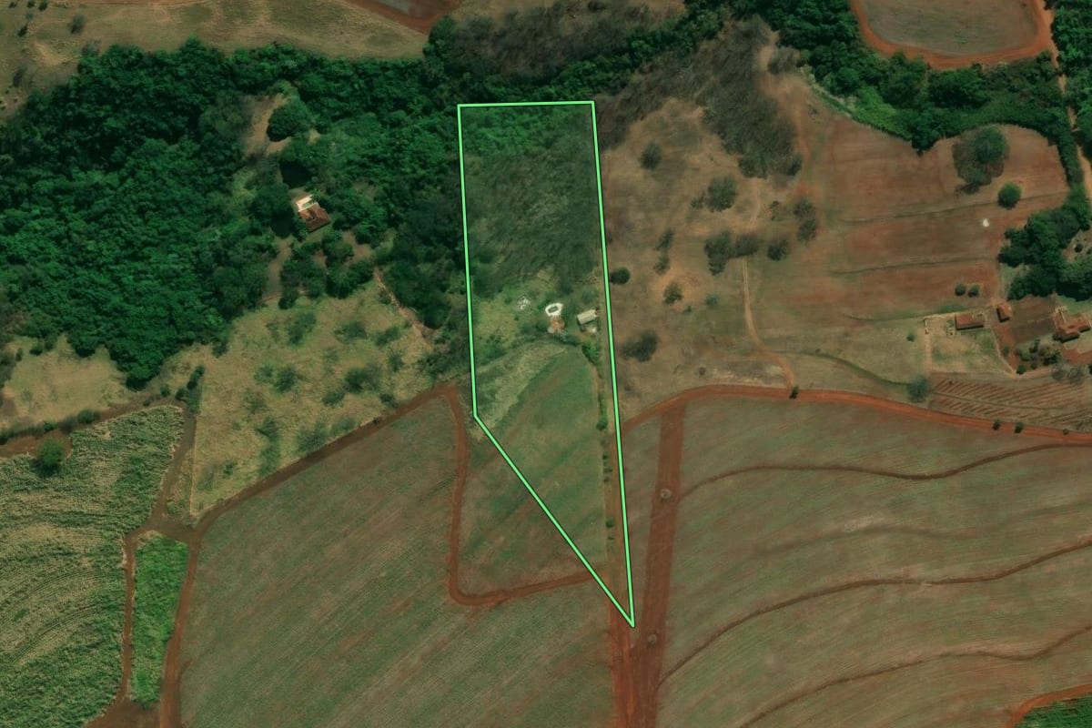 Imagem de satélite do imóvel rural em Cajuru (SP), com o contorno declarado no CAR desenhado por cima.