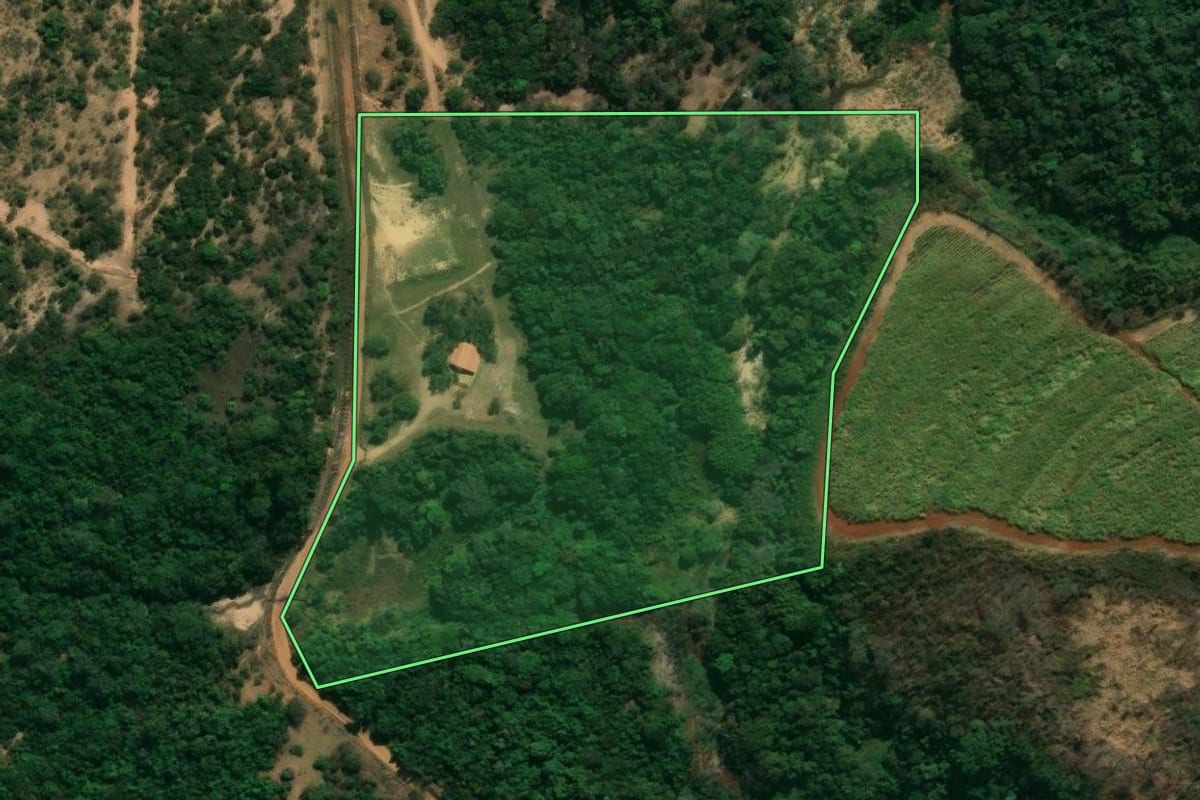 Imagem de satélite do imóvel rural em Cajuru (SP), com o contorno declarado no CAR desenhado por cima.