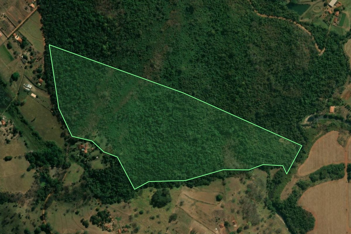 Imagem de satélite do imóvel rural em Cajuru (SP), com o contorno declarado no CAR desenhado por cima.