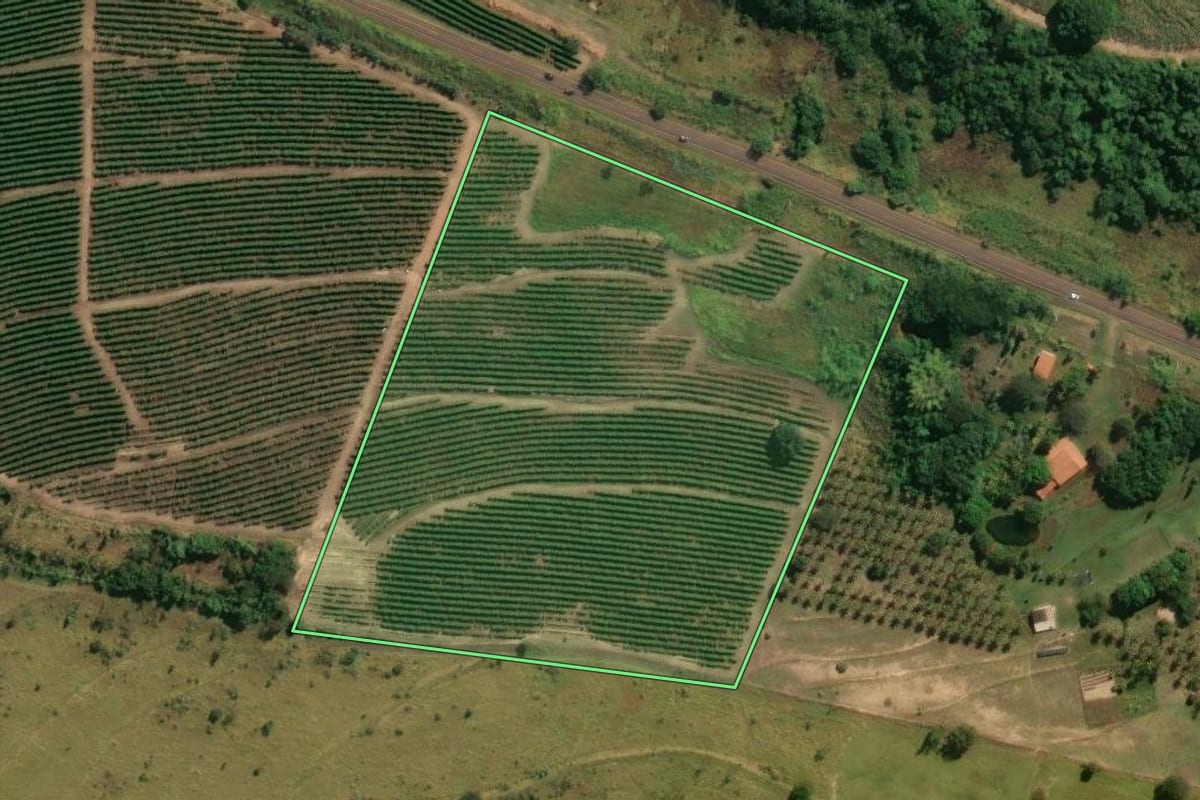 Imagem de satélite do imóvel rural em Cajuru (SP), com o contorno declarado no CAR desenhado por cima.