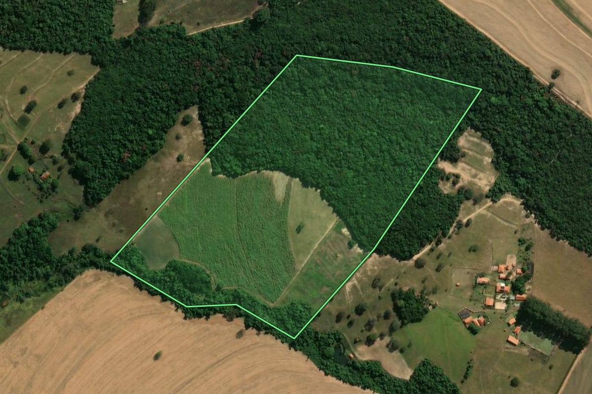 Imagem de satélite do imóvel rural em Cajuru (SP), com o contorno declarado no CAR desenhado por cima.