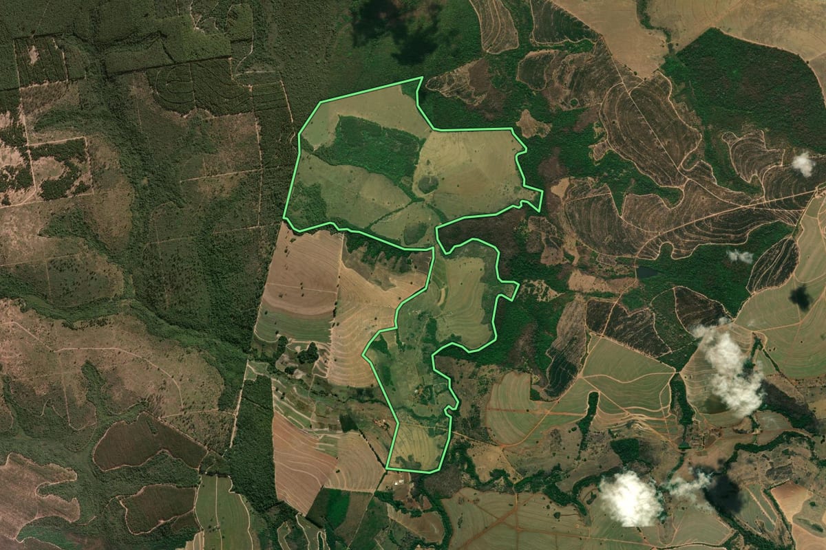 Imagem de satélite do imóvel rural em Cajuru (SP), com o contorno declarado no CAR desenhado por cima.