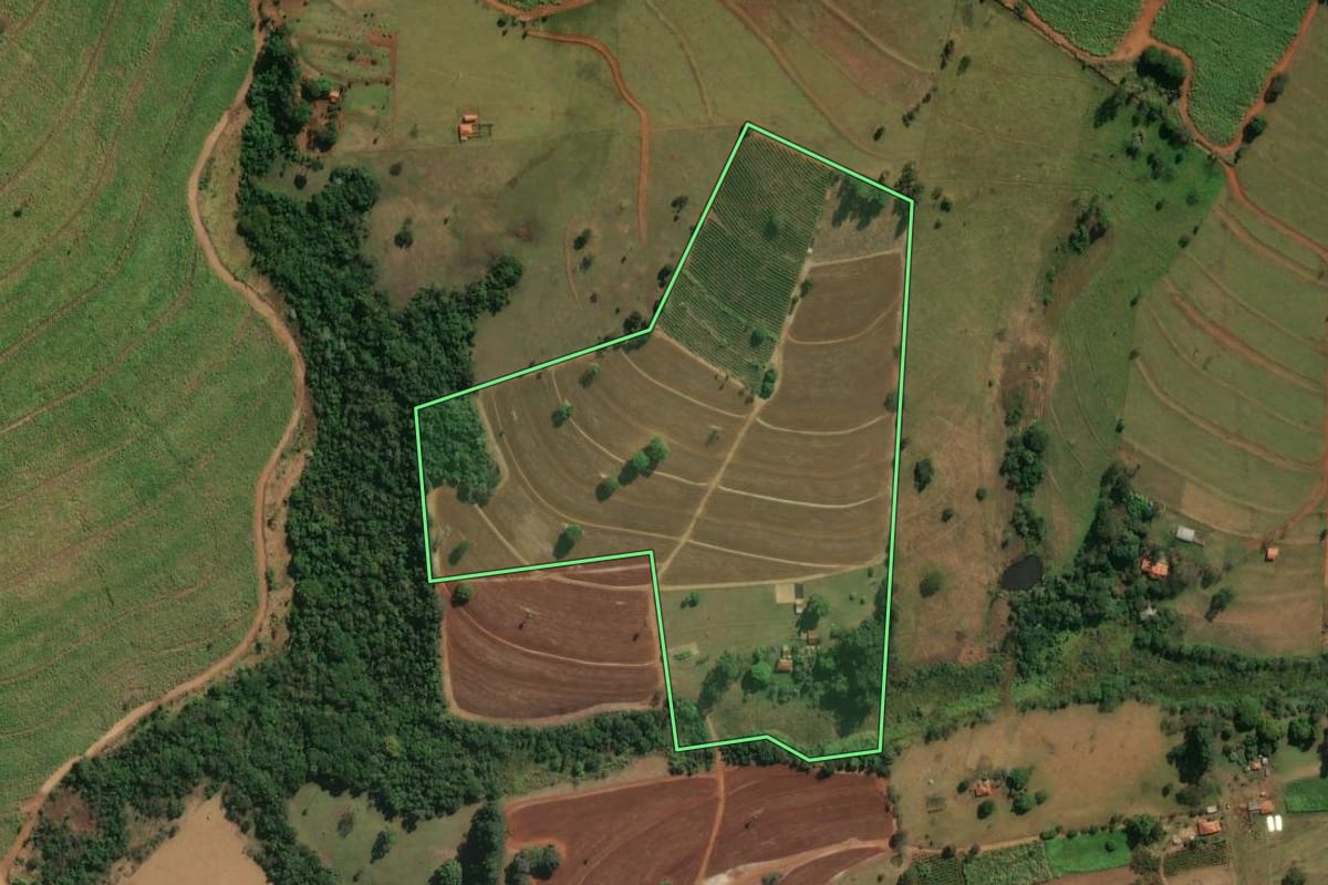 Imagem de satélite do imóvel rural em Cajuru (SP), com o contorno declarado no CAR desenhado por cima.