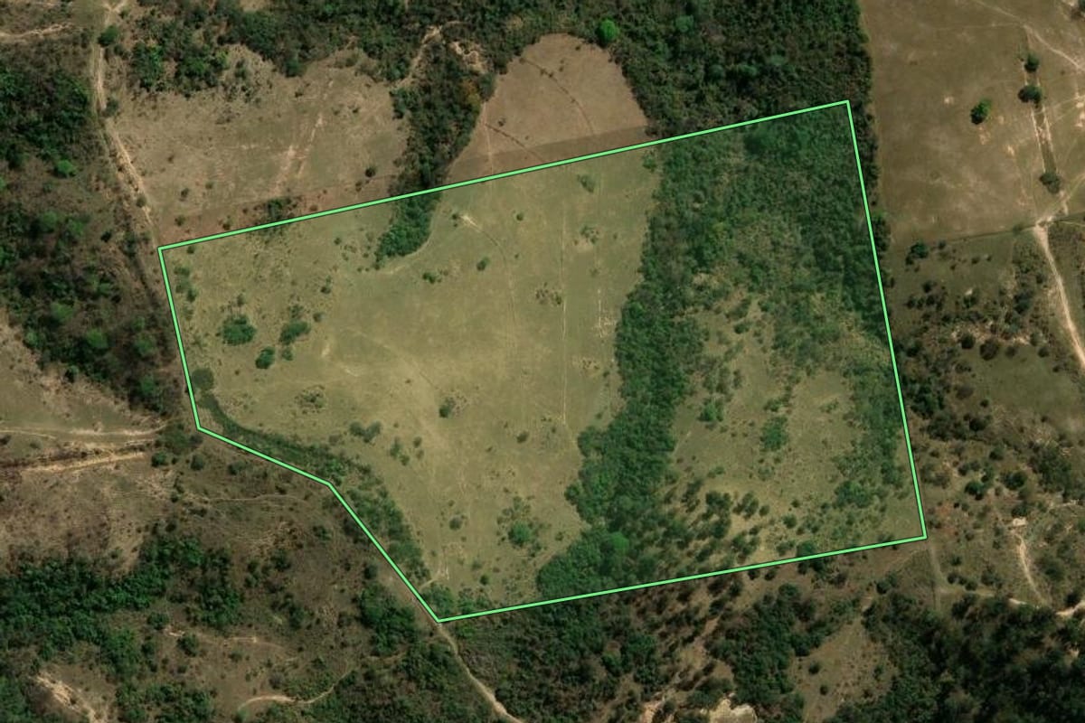 Imagem de satélite do imóvel rural em Campinas (SP), com o contorno declarado no CAR desenhado por cima.