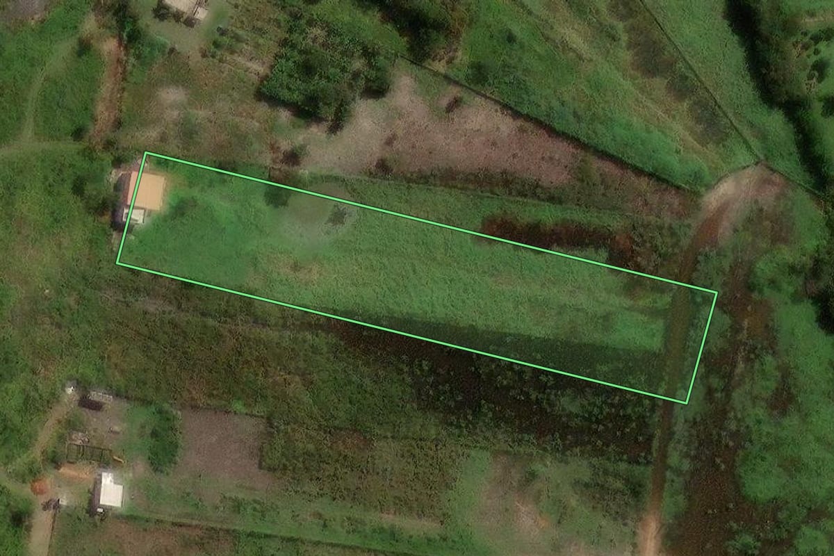 Imagem de satélite do imóvel rural em Campinas (SP), com o contorno declarado no CAR desenhado por cima.