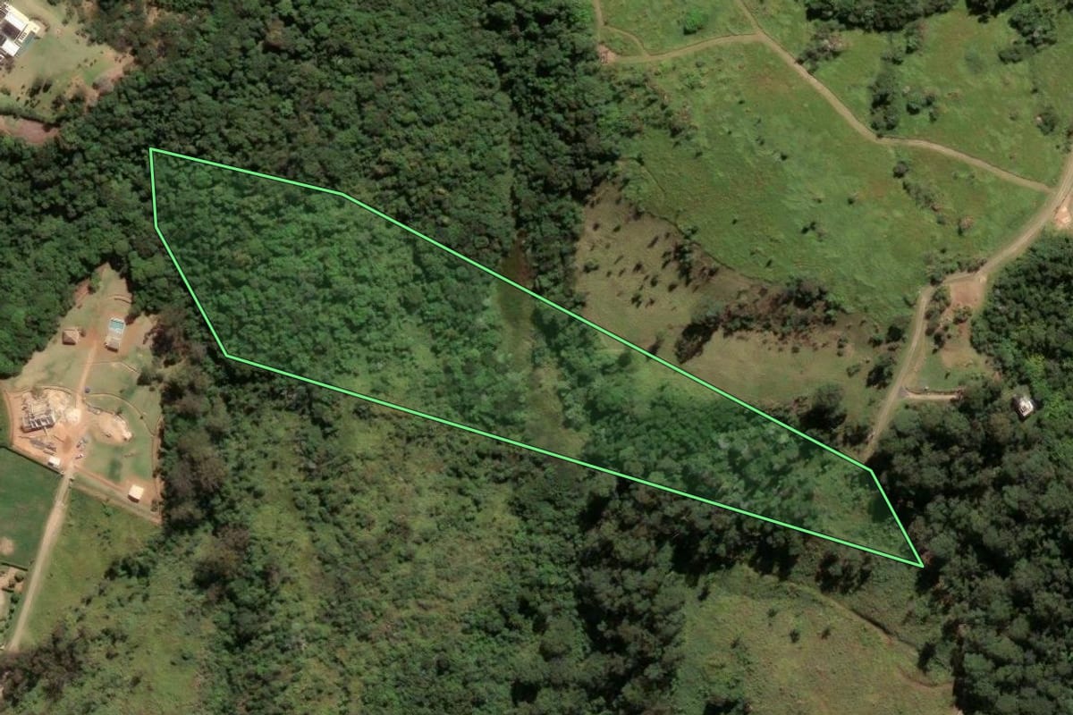 Imagem de satélite do imóvel rural em Campinas (SP), com o contorno declarado no CAR desenhado por cima.