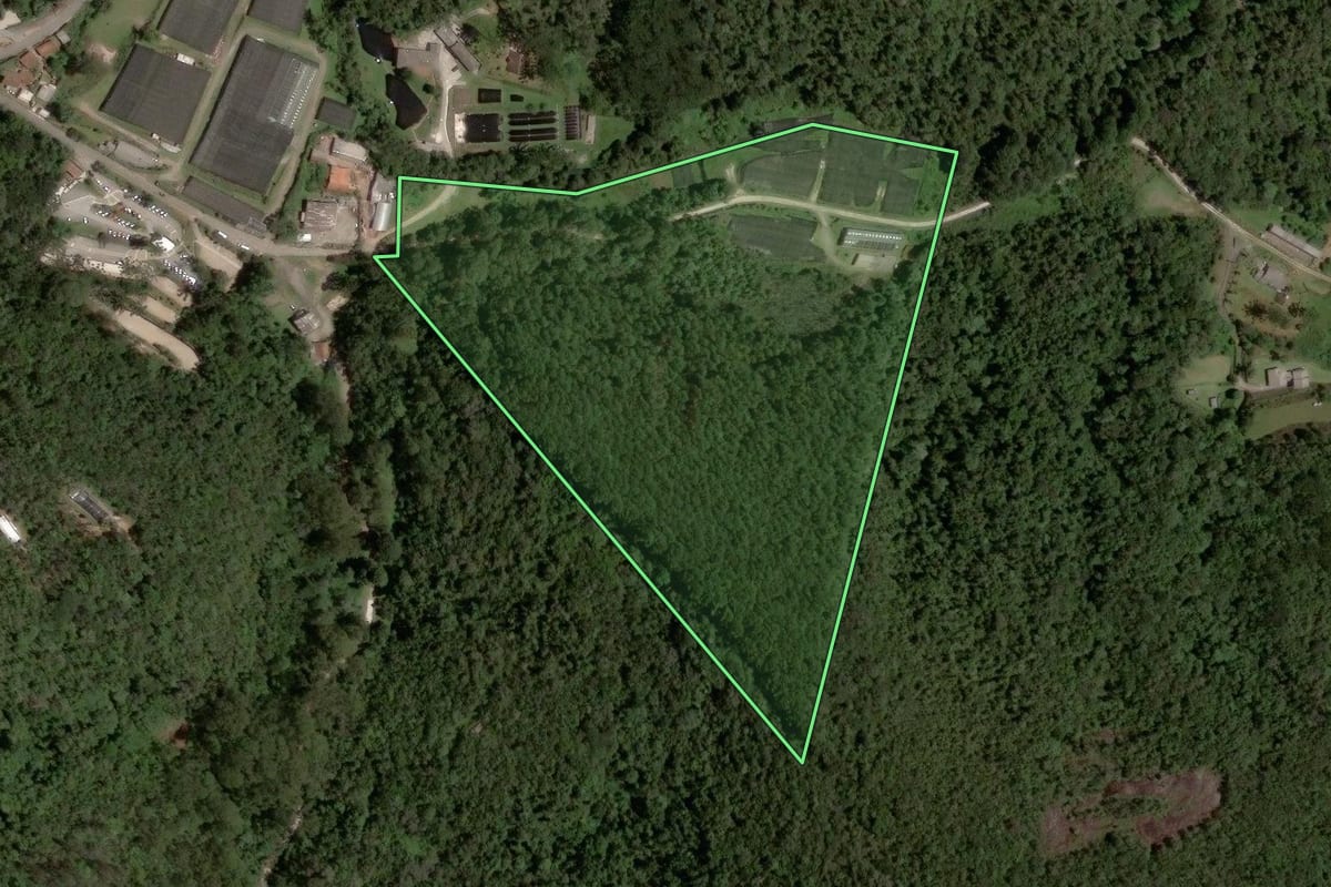 Imagem de satélite do imóvel rural em Campos do Jordão (SP), com o contorno declarado no CAR desenhado por cima.