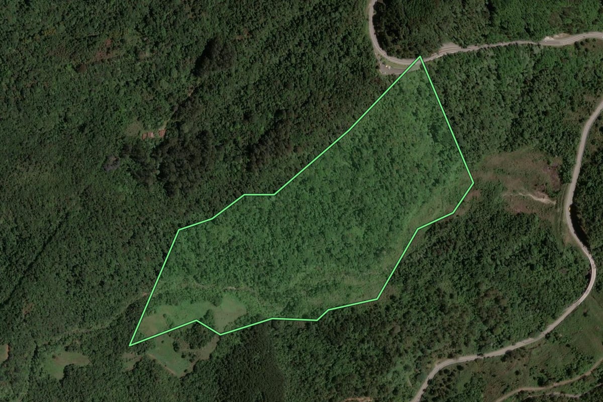 Imagem de satélite do imóvel rural em Campos do Jordão (SP), com o contorno declarado no CAR desenhado por cima.