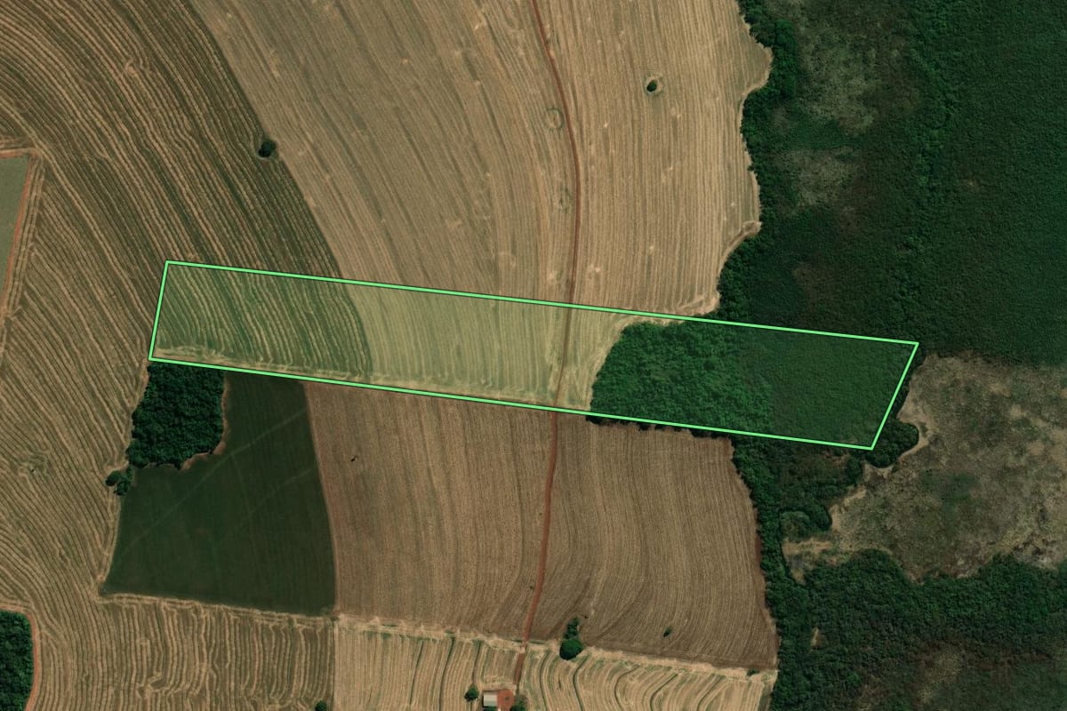 Imagem de satélite do imóvel rural em Campos Novos Paulista (SP), com o contorno declarado no CAR desenhado por cima.