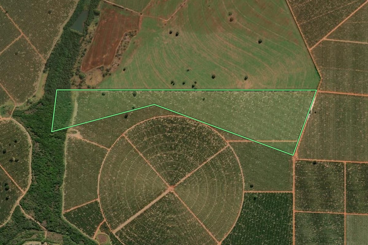 Imagem de satélite do imóvel rural em Campos Novos Paulista (SP), com o contorno declarado no CAR desenhado por cima.