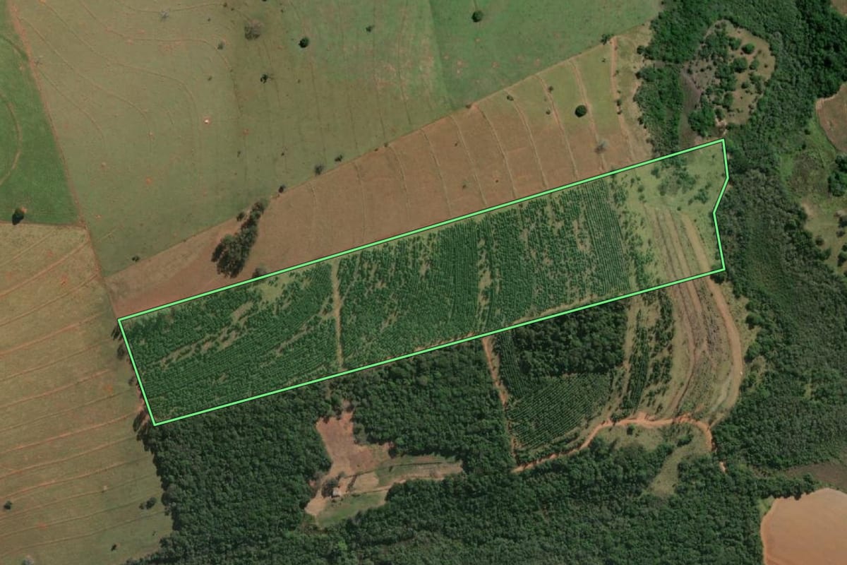 Imagem de satélite do imóvel rural em Campos Novos Paulista (SP), com o contorno declarado no CAR desenhado por cima.