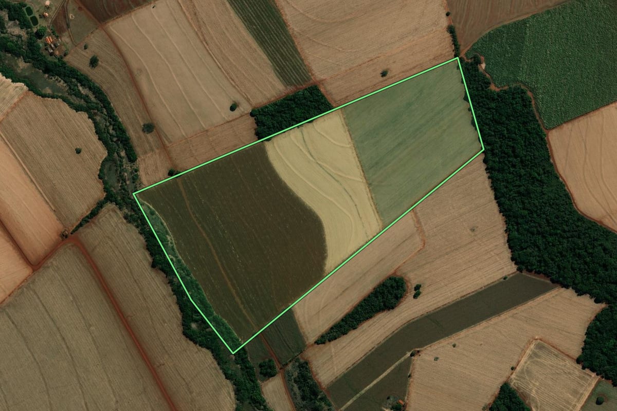 Imagem de satélite do imóvel rural em Campos Novos Paulista (SP), com o contorno declarado no CAR desenhado por cima.