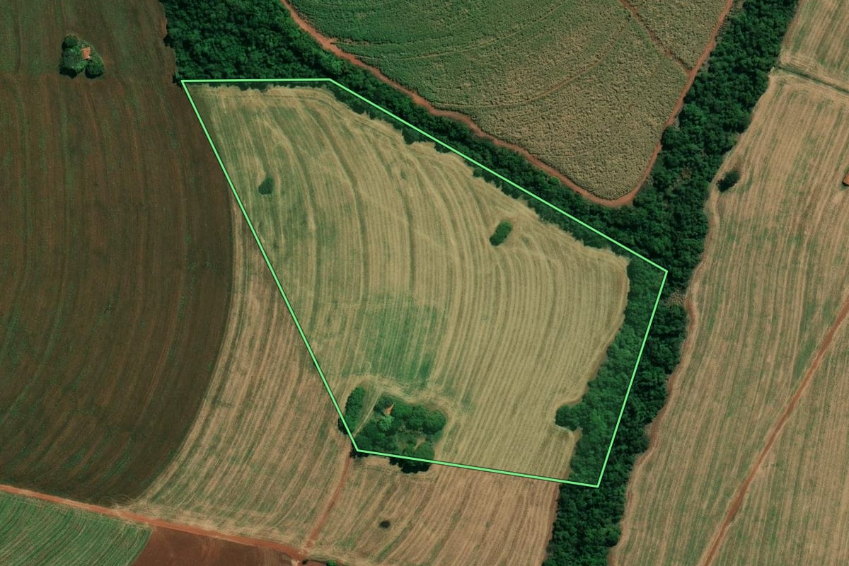 Imagem de satélite do imóvel rural em Campos Novos Paulista (SP), com o contorno declarado no CAR desenhado por cima.